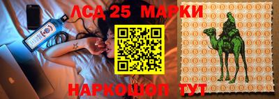 прущие грибы Тверь