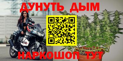 прущие грибы Тверь