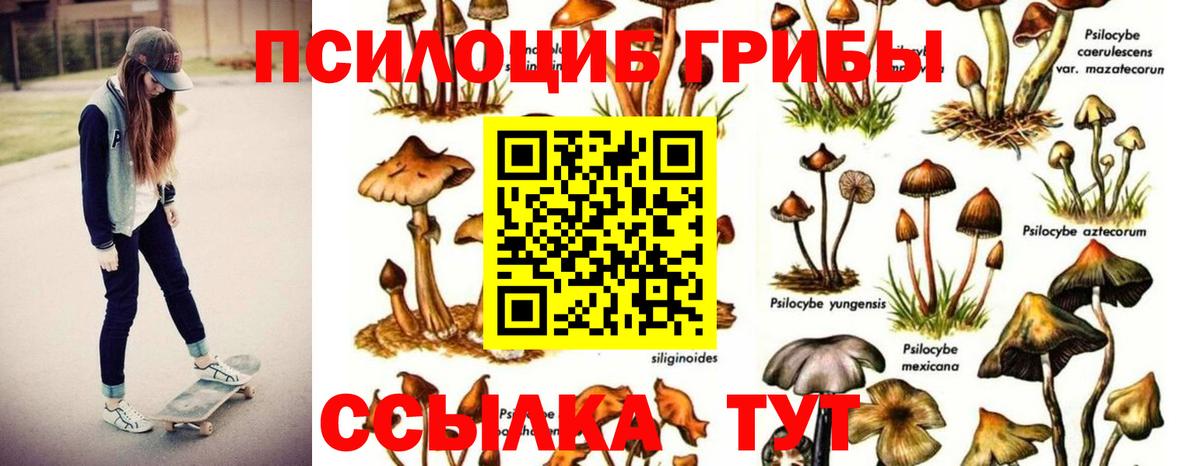Галлюциногенные грибы MAGIC MUSHROOMS  Вход с VPN  Асбест 