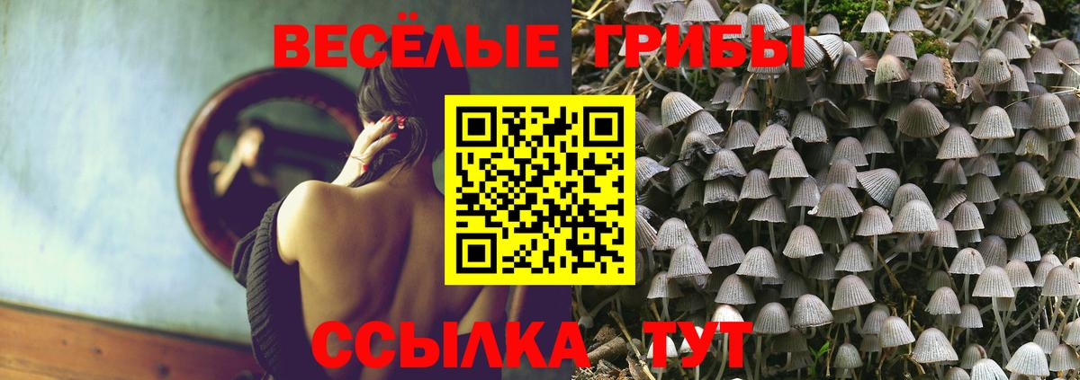 Псилоцибиновые грибы мицелий Асбест